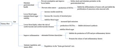 Intestinal microbiota-mediated dietary fiber bioavailability